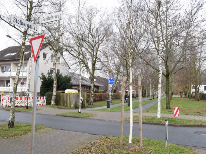 Foto_Radweg_Kreuzung_Greitelerweg_Straße_Verkehr