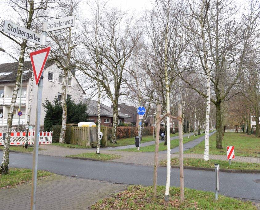 Foto_Radweg_Kreuzung_Greitelerweg_Straße_Verkehr