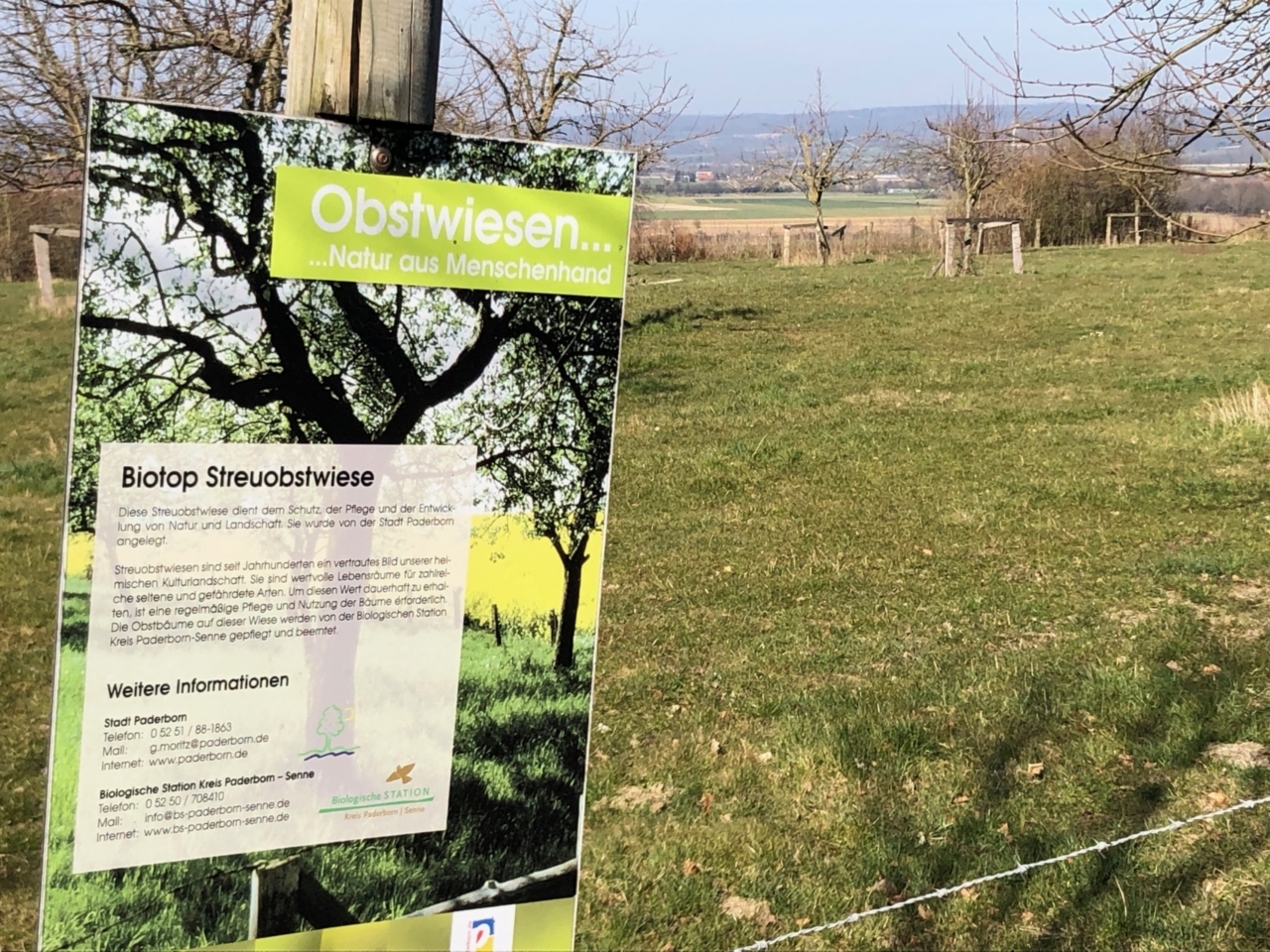 Anpflanzung von alten Obstbaumarten und Anlegen von Streuobstwiesen an der B1 / Talleseen Anpflanzung von alten Obstbaumarten und Anlegen von Streuobstwiesen an der B1 / Talleseen